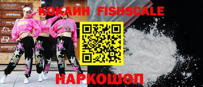 спиды Гатчина