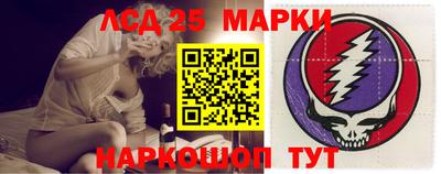 спиды Гатчина
