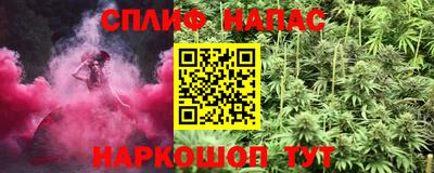 спиды Гатчина