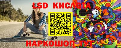 спиды Гатчина