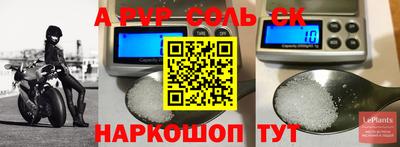 крисы Гагарин