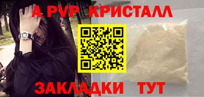 спиды Гатчина