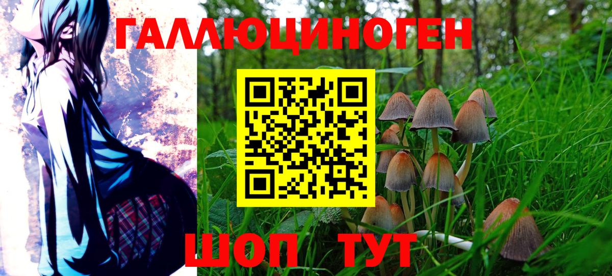Галлюциногенные грибы мицелий Трёхгорный